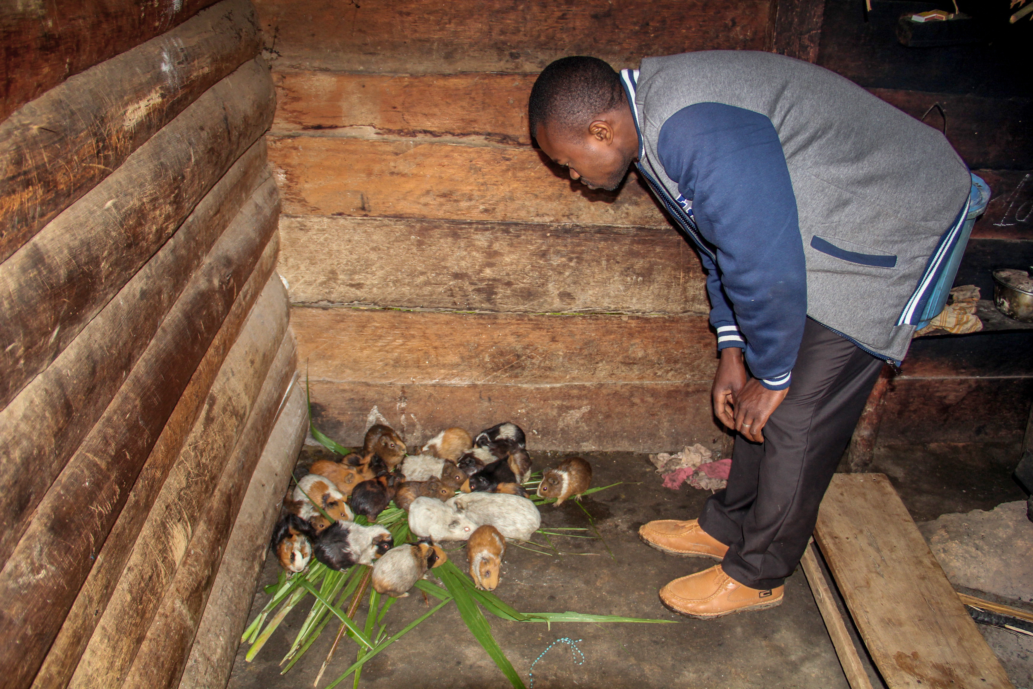 Dalmond Kambale Mbusa